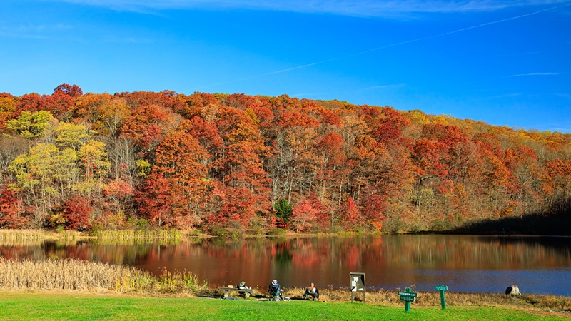 Great Brook Farm State Park